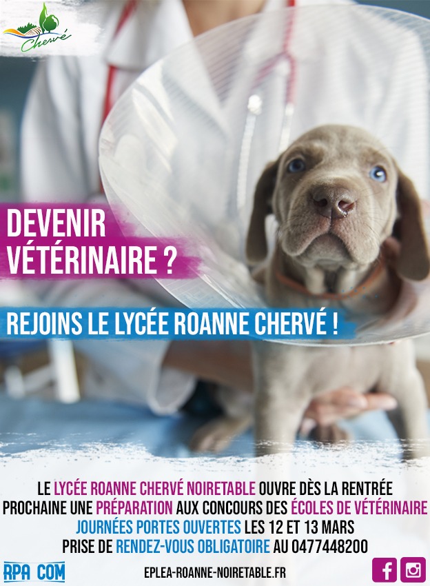 Le Lycée Roanne Chervé Noirétable prépare les vétérinaires de demain !