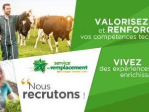 Service de remplacement agricole de la Loire