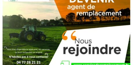 Service de Remplacement de la Loire