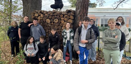 Retours sur les sorties des 4ème