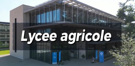 Modernisation au Lycée de Chervé : La Région investit pour l'avenir de nos apprenants