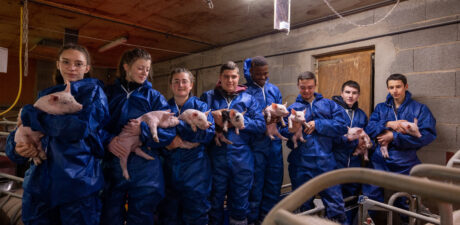 Ouverture formations filière porcine